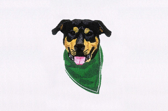 Napkin Wearing Dog: A Hands-On Embroidery Design Review